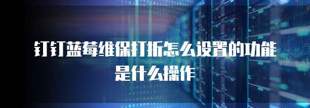 钉钉蓝莓维保打折怎么设置的功能是什么操作