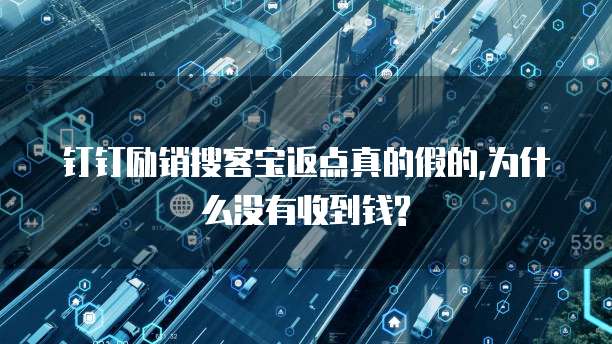钉钉励销搜客宝返点真的假的,为什么没有收到钱?