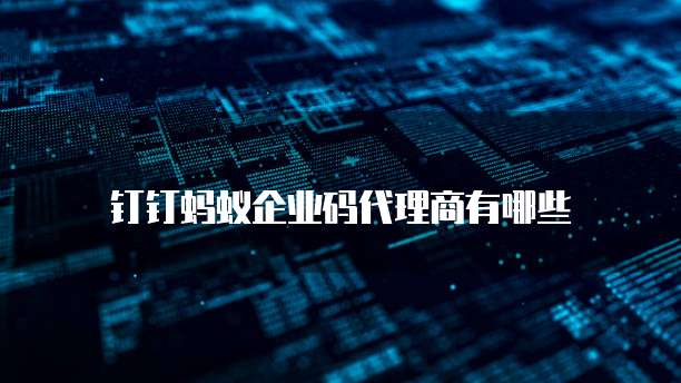 钉钉蚂蚁企业码代理商有哪些