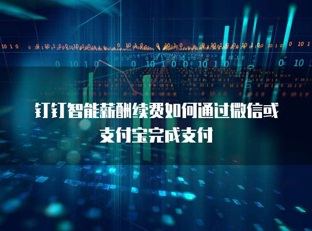 钉钉智能薪酬续费如何通过微信或支付宝完成支付