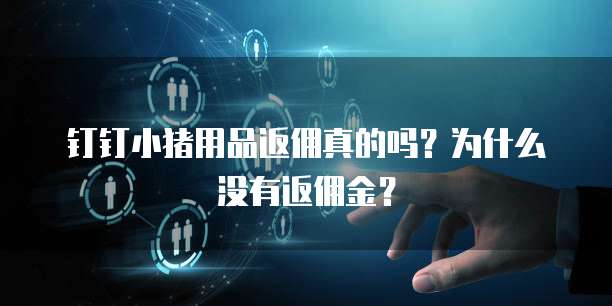 钉钉小猪用品返佣真的吗?为什么没有返佣金?