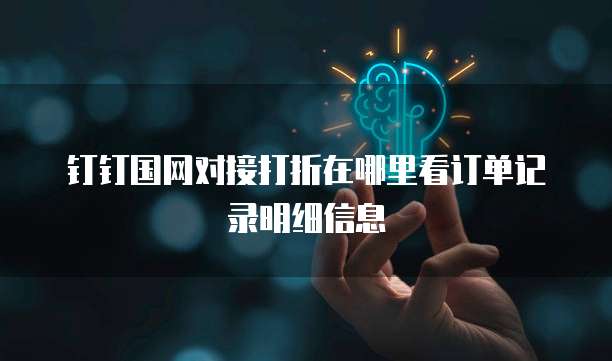 钉钉国网对接打折在哪里看订单记录明细信息