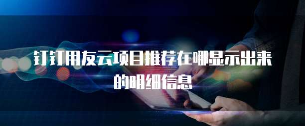 钉钉用友云项目推荐在哪显示出来的明细信息
