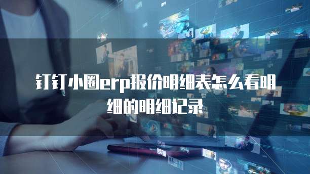钉钉小圈erp报价明细表怎么看明细的明细记录