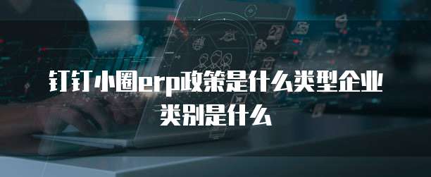 钉钉小圈erp政策是什么类型企业类别是什么