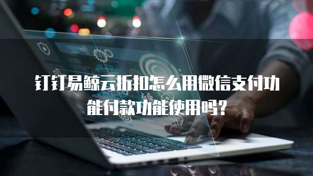 钉钉易鲸云折扣怎么用微信支付功能付款功能使用吗?
