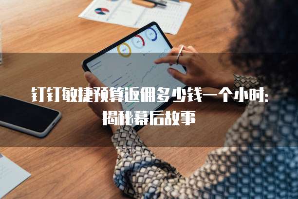钉钉敏捷预算返佣多少钱一个小时:揭秘幕后故事