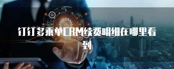 钉钉多乘单CRM续费明细在哪里看到