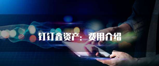 钉钉鑫资产:费用介绍