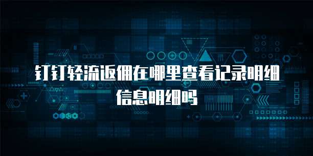 钉钉轻流返佣在哪里查看记录明细信息明细吗