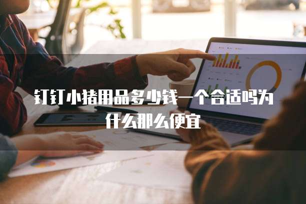 钉钉小猪用品多少钱一个合适吗为什么那么便宜