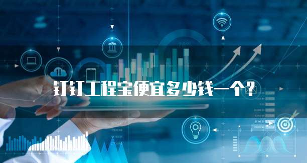 钉钉工程宝便宜多少钱一个?