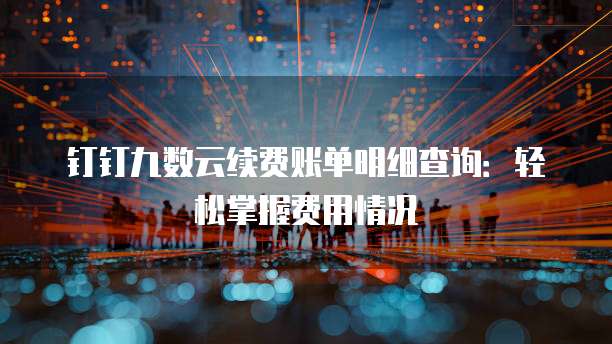 钉钉九数云续费账单明细查询:轻松掌握费用情况