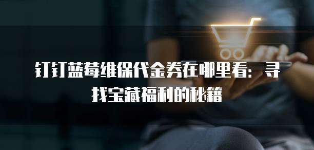 钉钉蓝莓维保代金券在哪里看：寻找宝藏福利的秘籍