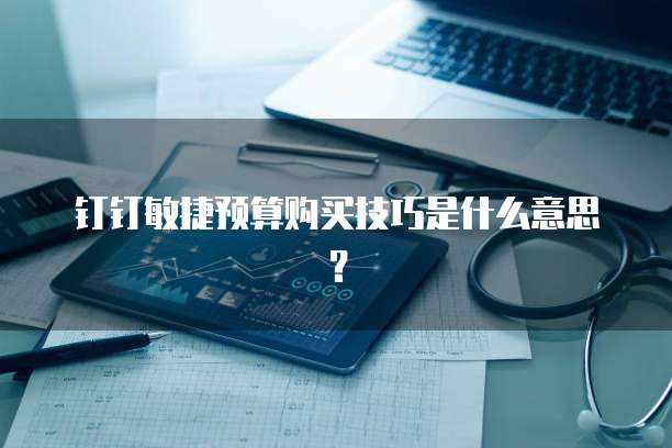 钉钉敏捷预算购买技巧是什么意思?