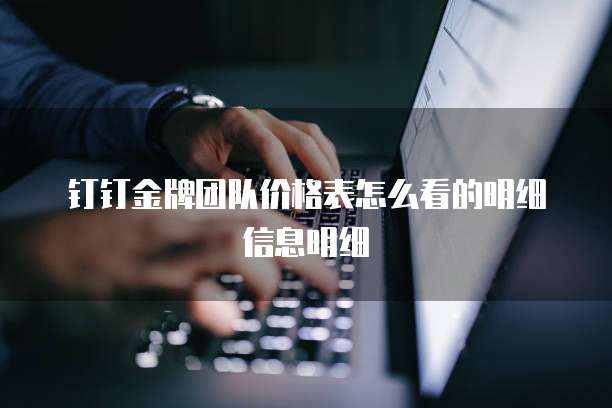 钉钉金牌团队价格表怎么看的明细信息明细