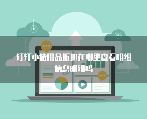 钉钉小猪用品折扣在哪里查看明细信息明细吗