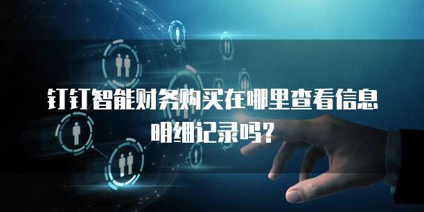 钉钉智能财务购买在哪里查看信息明细记录吗?