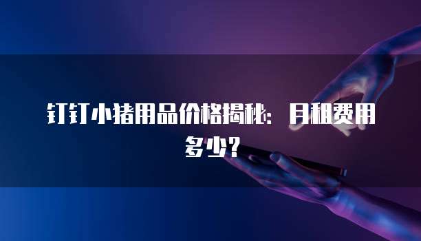 钉钉小猪用品价格揭秘:月租费用多少?