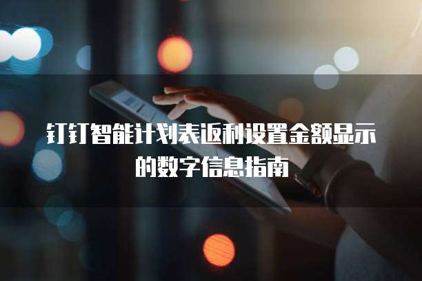 钉钉智能计划表返利设置金额显示的数字信息指南