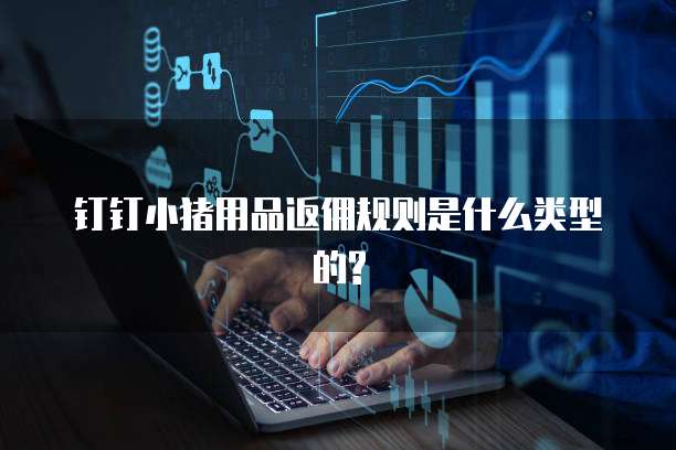 钉钉小猪用品返佣规则是什么类型的?