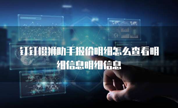 钉钉橙狮助手报价明细怎么查看明细信息明细信息