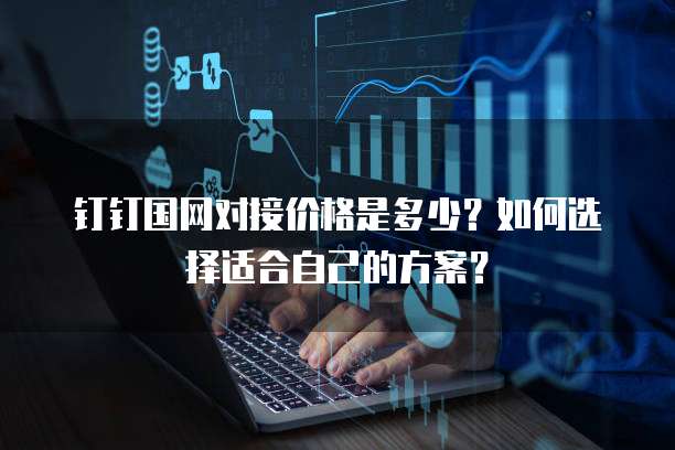 钉钉国网对接价格是多少?如何选择适合自己的方案?