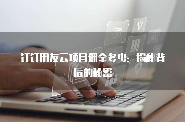 钉钉用友云项目佣金多少:揭秘背后的秘密