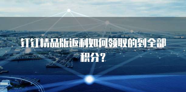 钉钉精品版返利如何领取的到全部积分?