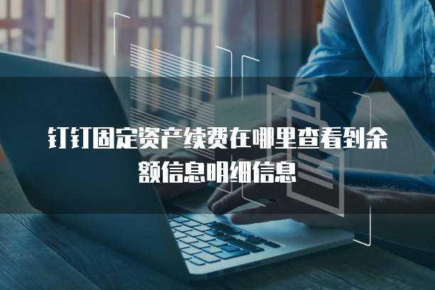 钉钉固定资产续费在哪里查看到余额信息明细信息