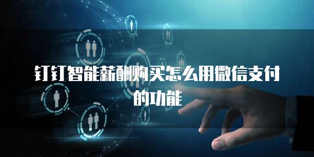 钉钉智能薪酬购买怎么用微信支付的功能