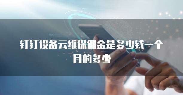 钉钉设备云维保佣金是多少钱一个月的多少