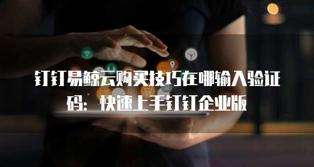 钉钉易鲸云购买技巧在哪输入验证码：快速上手钉钉企业版
