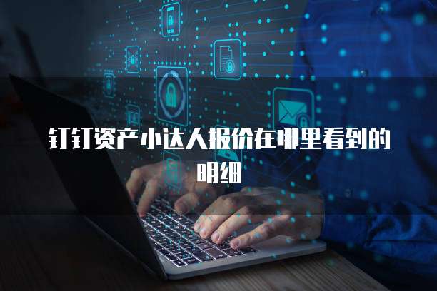 钉钉资产小达人报价在哪里看到的明细
