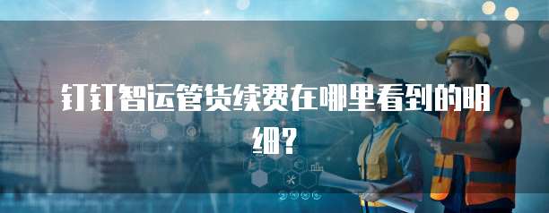 钉钉智运管货续费在哪里看到的明细?