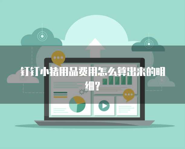 钉钉小猪用品费用怎么算出来的明细?