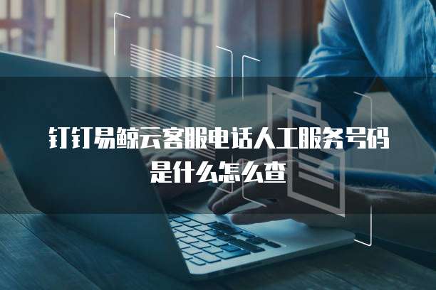 钉钉易鲸云客服电话人工服务号码是什么怎么查