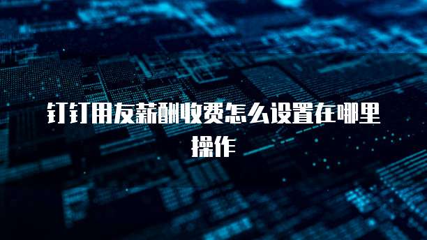 钉钉用友薪酬收费怎么设置在哪里操作