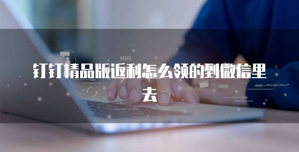 钉钉精品版返利怎么领的到微信里去