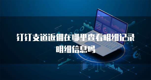 钉钉支道返佣在哪里查看明细记录明细信息吗