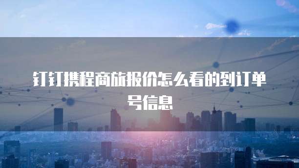 钉钉携程商旅报价怎么看的到订单号信息