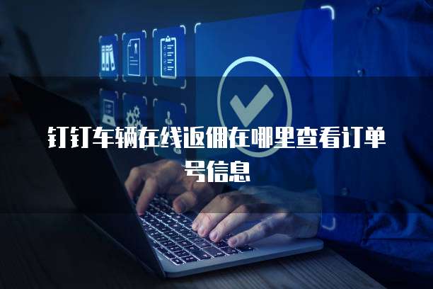 钉钉车辆在线返佣在哪里查看订单号信息