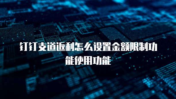 钉钉支道返利怎么设置金额限制功能使用功能