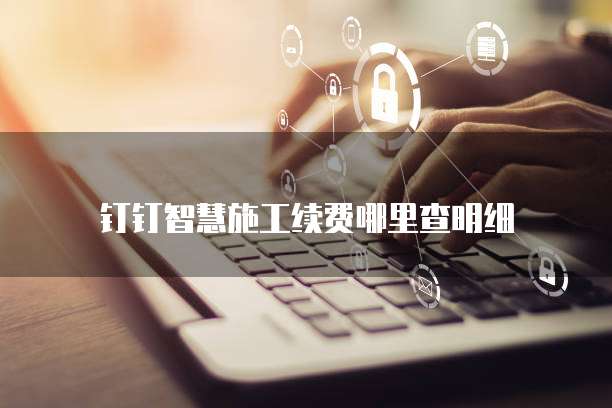 钉钉智慧施工续费哪里查明细