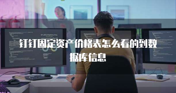 钉钉固定资产价格表怎么看的到数据库信息