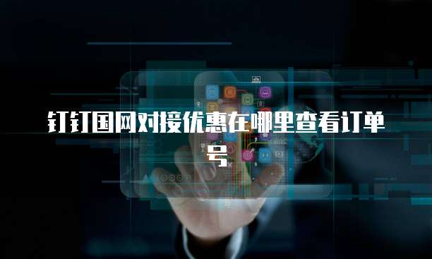 钉钉国网对接优惠在哪里查看订单号