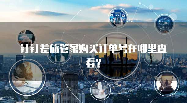 钉钉差旅管家购买订单号在哪里查看?