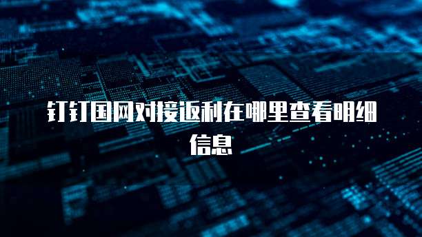 钉钉国网对接返利在哪里查看明细信息