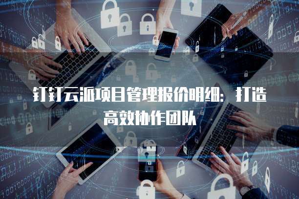 钉钉云派项目管理报价明细:打造高效协作团队
