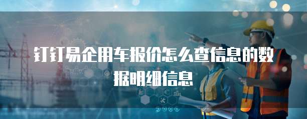 钉钉易企用车报价怎么查信息的数据明细信息